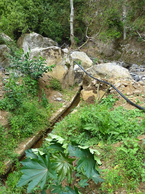 2 August 2014 5 Levadas around Maroços — On to the Madre — photo 26