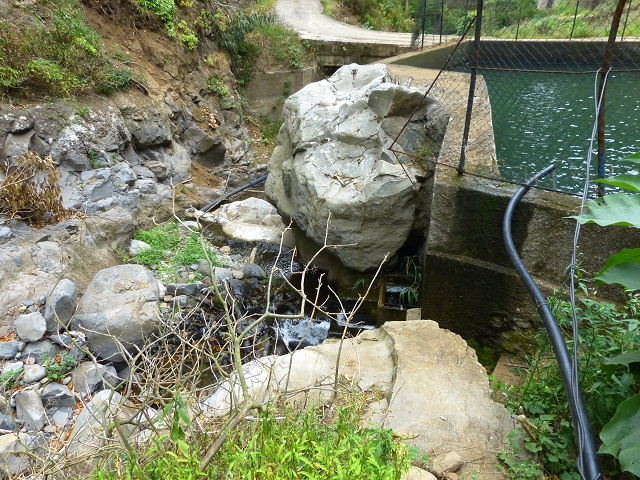 2 August 2014 5 Levadas around Maroços — On to the Madre — photo 28