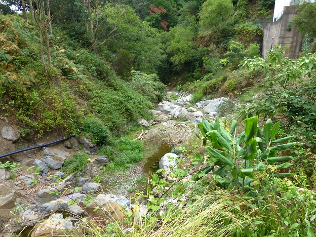 2 August 2014 5 Levadas around Maroços — Sistema Elevatorio das Fontes Vermelhas and on to the ER-236 — photo 6