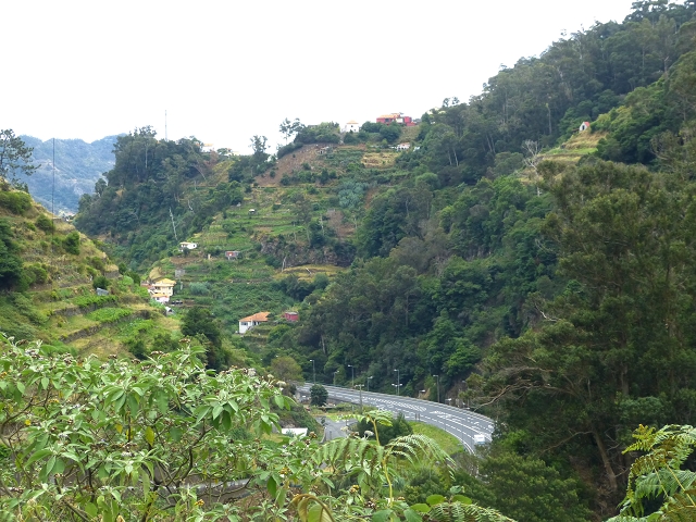 2 August 2014 5 Levadas around Maroços — Levada do Marocos 2 as far as the stream bed and back — photo 1