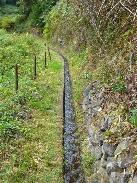 2 August 2014 5 Levadas around Maroços — Levada do Marocos 2 as far as the stream bed and back — photo 3
