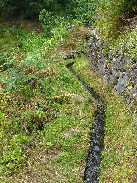 2 August 2014 5 Levadas around Maroços — Levada do Marocos 2 as far as the stream bed and back — photo 4