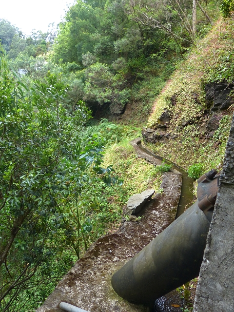 2 August 2014 5 Levadas around Maroços — Levada do Marocos 2 as far as the stream bed and back — photo 6