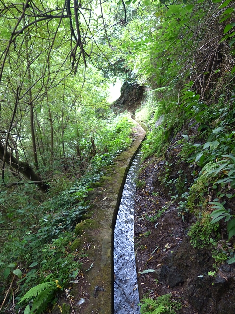 2 August 2014 5 Levadas around Maroços — Levada do Marocos 2 as far as the stream bed and back — photo 7