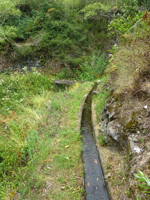 2 August 2014 5 Levadas around Maroços — Levada do Marocos 2 as far as the stream bed and back — photo 8