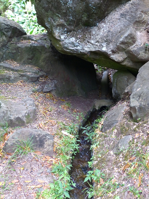 2 August 2014 5 Levadas around Maroços — Levada do Marocos 2 as far as the stream bed and back — photo 9