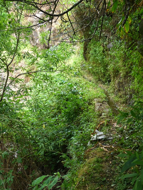 2 August 2014 5 Levadas around Maroços — Levada do Marocos 2 as far as the stream bed and back — photo 10