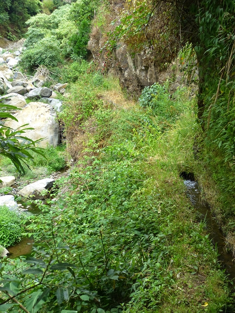 2 August 2014 5 Levadas around Maroços — Levada do Marocos 2 as far as the stream bed and back — photo 11