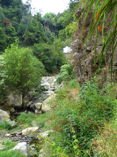 2 August 2014 5 Levadas around Maroços — Levada do Marocos 2 as far as the stream bed and back — photo 12
