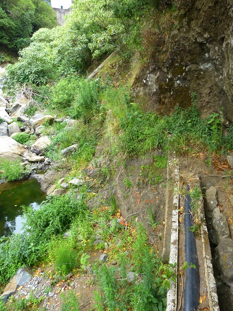 2 August 2014 5 Levadas around Maroços — Levada do Marocos 2 as far as the stream bed and back — photo 13
