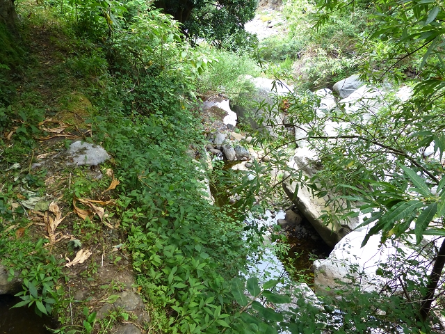 2 August 2014 5 Levadas around Maroços — Levada do Marocos 2 as far as the stream bed and back — photo 15