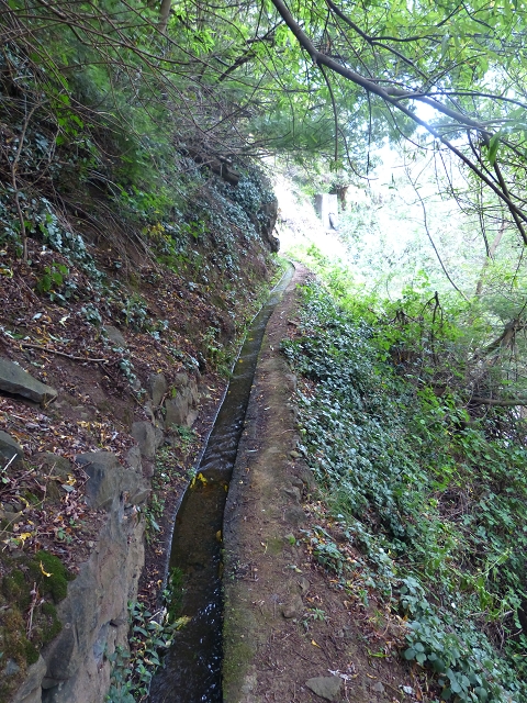 2 August 2014 5 Levadas around Maroços — Levada do Marocos 2 as far as the stream bed and back — photo 17