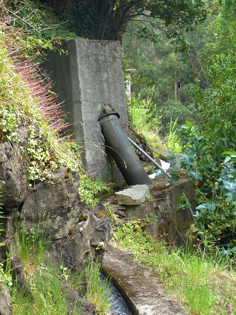 2 August 2014 5 Levadas around Maroços — Levada do Marocos 2 as far as the stream bed and back — photo 18