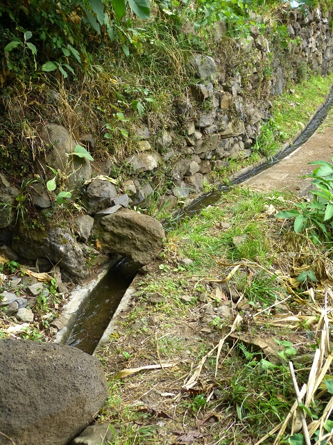 2 August 2014 5 Levadas around Maroços — On along the Levada do Marocos 2 to above Marocos — photo 2