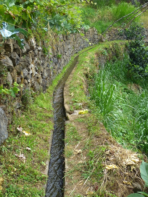 2 August 2014 5 Levadas around Maroços — On along the Levada do Marocos 2 to above Marocos — photo 3