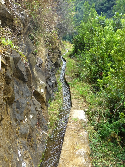 2 August 2014 5 Levadas around Maroços — On along the Levada do Marocos 2 to above Marocos — photo 7