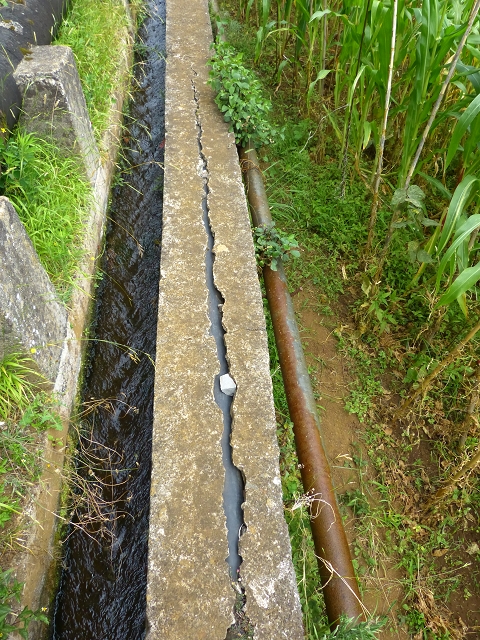 2 August 2014 5 Levadas around Maroços — On the Levada Nova de Machico to the small water house — photo 9