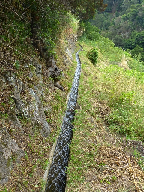 2 August 2014 5 Levadas around Maroços — On along the Levada do Marocos 2 to above Marocos — photo 9