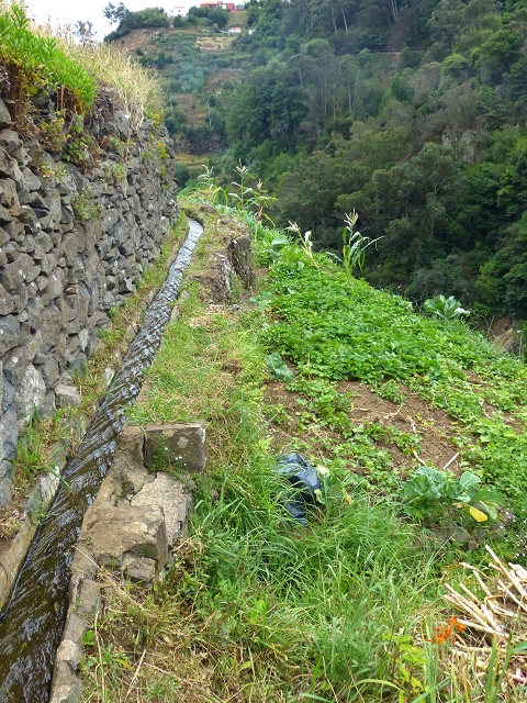 2 August 2014 5 Levadas around Maroços — On along the Levada do Marocos 2 to above Marocos — photo 12