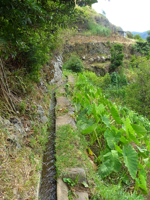 2 August 2014 5 Levadas around Maroços — On along the Levada do Marocos 2 to above Marocos — photo 13