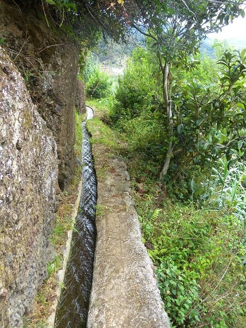 2 August 2014 5 Levadas around Maroços — On along the Levada do Marocos 2 to above Marocos — photo 14