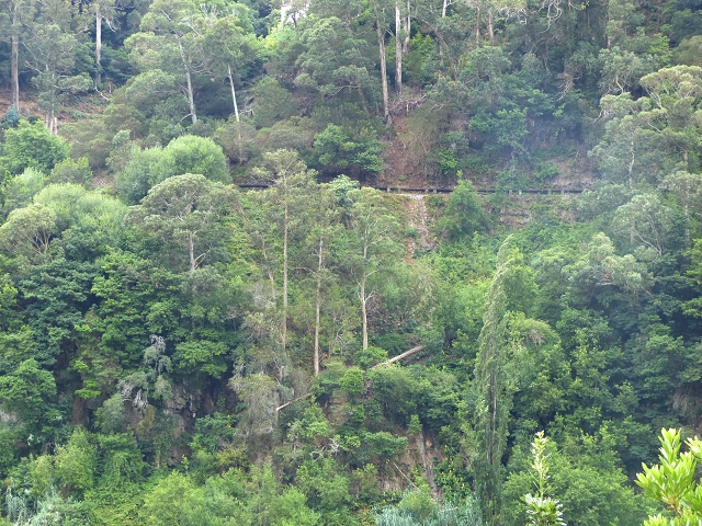 2 August 2014 5 Levadas around Maroços — On along the Levada do Marocos 2 to above Marocos — photo 16