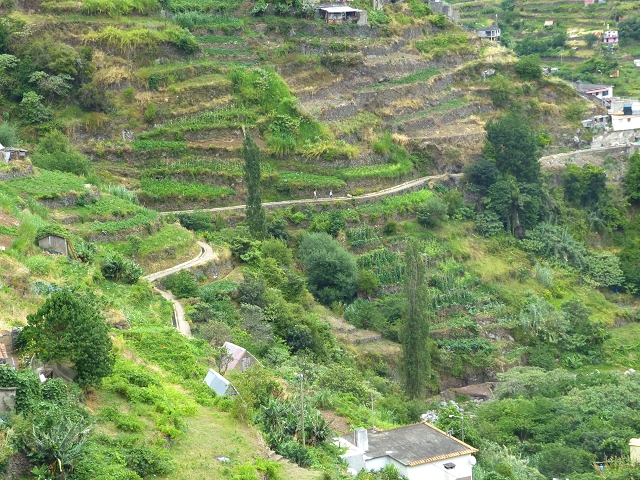 2 August 2014 5 Levadas around Maroços — On along the Levada do Marocos 2 to above Marocos — photo 17
