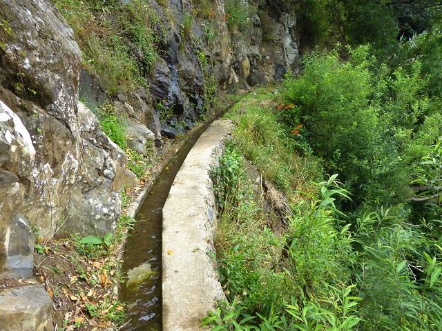 2 August 2014 5 Levadas around Maroços — On along the Levada do Marocos 2 to above Marocos — photo 18