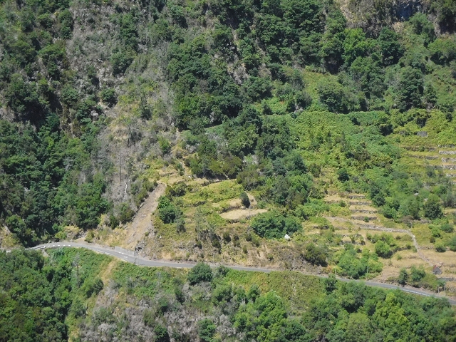 02.08.2015 Levada dos Tornos und das Fajas — Weiter zum Levadahaus — Foto 20