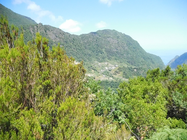 02.08.2015 Levada dos Tornos und das Fajas — Weiter zum Levadahaus — Foto 25