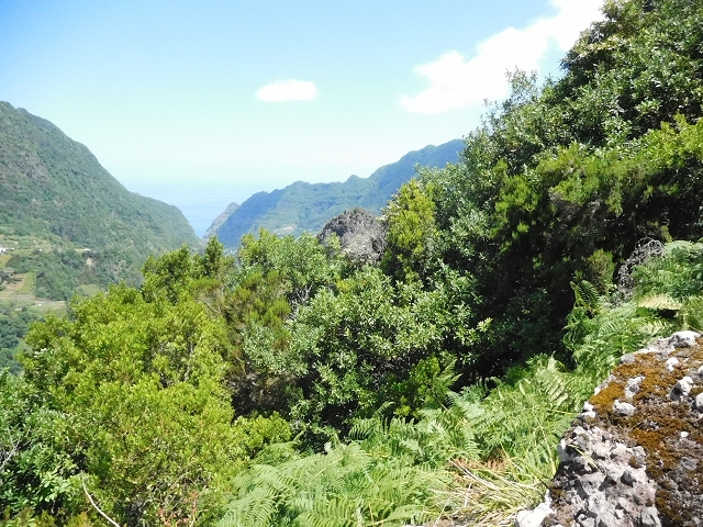 02.08.2015 Levada dos Tornos und das Fajas — Weiter zum Levadahaus — Foto 26
