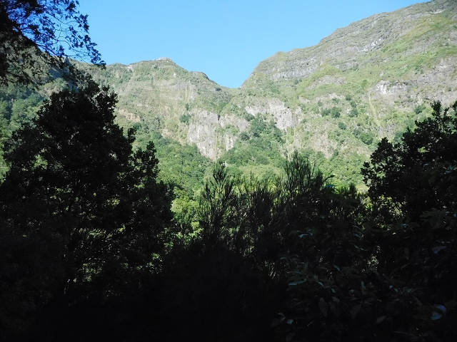 02.08.2015 Levada dos Tornos und das Fajas — Zur Madre der Levada dos Tornos und zurück zum PR-2 — Foto 5