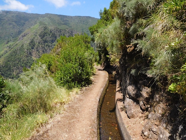 02.08.2015 Levada dos Tornos und das Fajas — Weiter zum Levadahaus — Foto 39