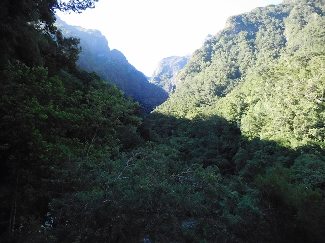 02.08.2015 Levada dos Tornos und das Fajas — Zur Madre der Levada dos Tornos und zurück zum PR-2 — Foto 6