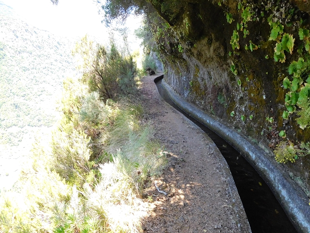 02.08.2015 Levada dos Tornos und das Fajas — Weiter zum Levadahaus — Foto 41