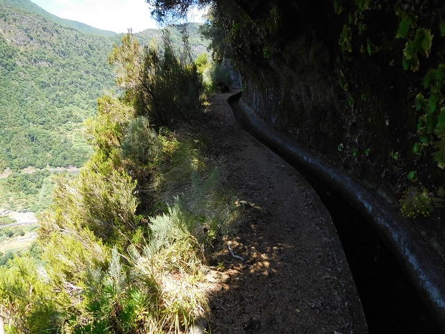 02.08.2015 Levada dos Tornos und das Fajas — Weiter zum Levadahaus — Foto 42