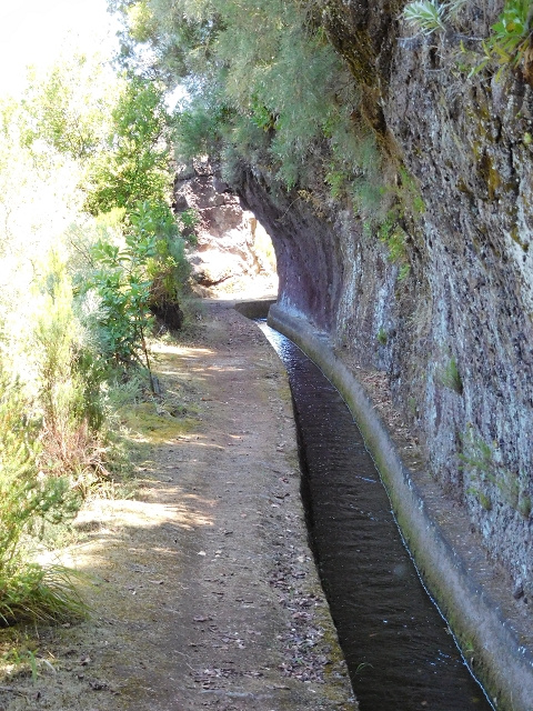 02.08.2015 Levada dos Tornos und das Fajas — Weiter zum Levadahaus — Foto 46