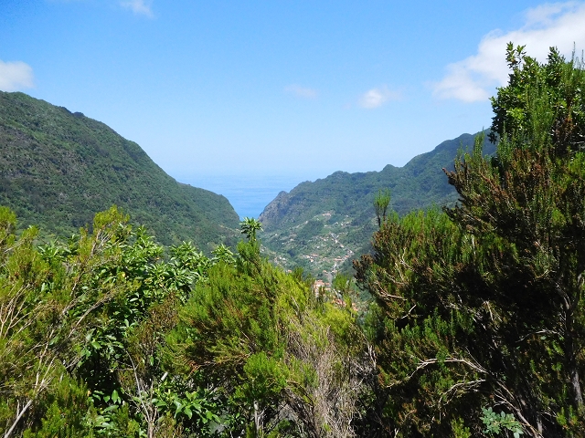02.08.2015 Levada dos Tornos und das Fajas — Weiter zum Levadahaus — Foto 49