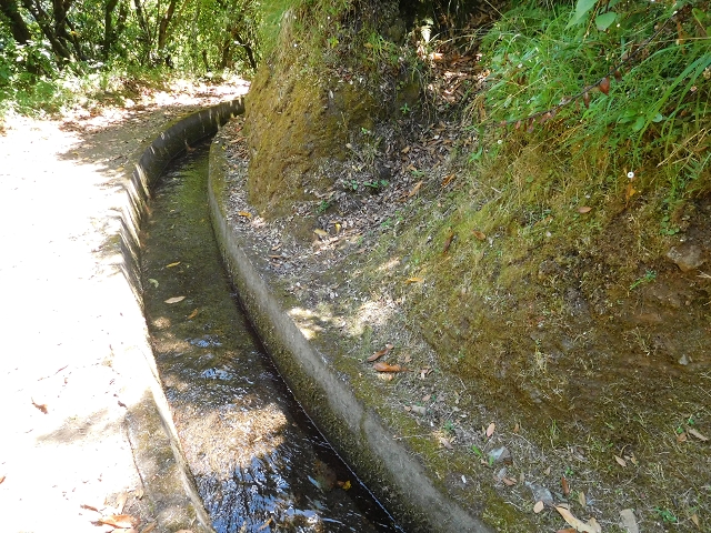 02.08.2015 Levada dos Tornos und das Fajas — Weiter zum Levadahaus — Foto 54