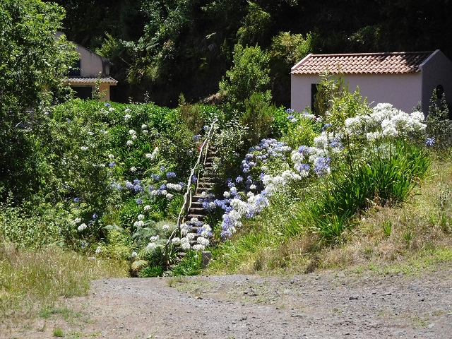 02.08.2015 Levada dos Tornos und das Fajas — Weiter zum Levadahaus — Foto 55