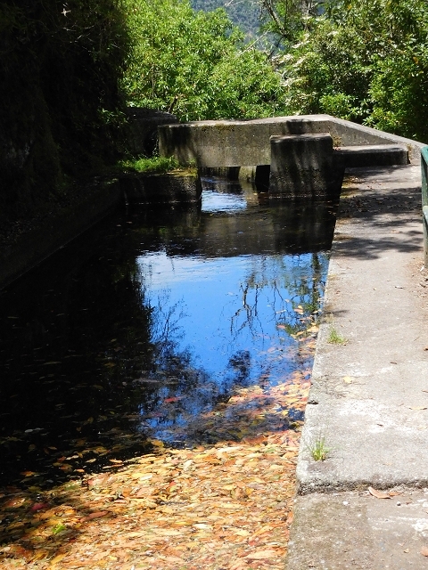02.08.2015 Levada dos Tornos und das Fajas — Abstieg nach Lamaceiros — Foto 1