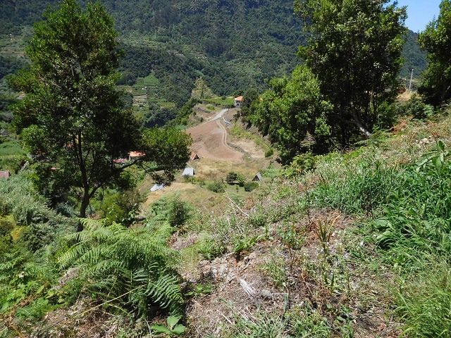 02.08.2015 Levada dos Tornos und das Fajas — Auf der Levada das Faias zur Schlüsselstelle — Foto 1