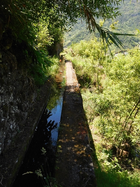 02.08.2015 Levada dos Tornos und das Fajas — Auf der Levada das Faias zur Schlüsselstelle — Foto 2