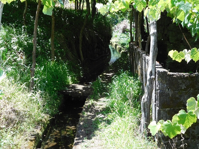 02.08.2015 Levada dos Tornos und das Fajas — Auf der Levada das Faias zur Schlüsselstelle — Foto 3