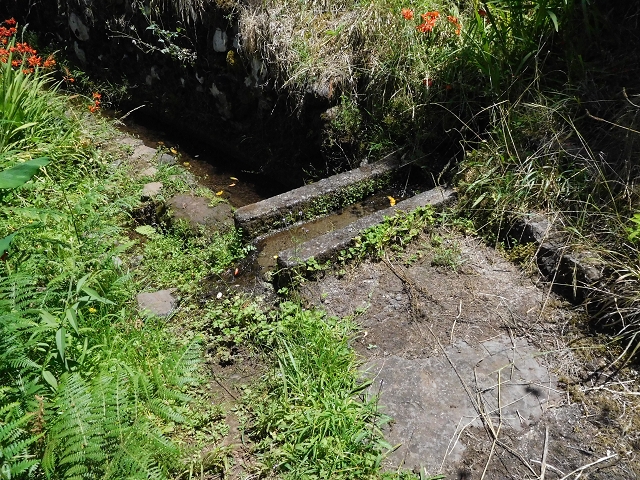 02.08.2015 Levada dos Tornos und das Fajas — Auf der Levada das Faias zur Schlüsselstelle — Foto 7