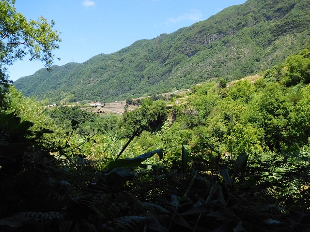 02.08.2015 Levada dos Tornos und das Fajas — Auf der Levada das Faias zur Schlüsselstelle — Foto 8