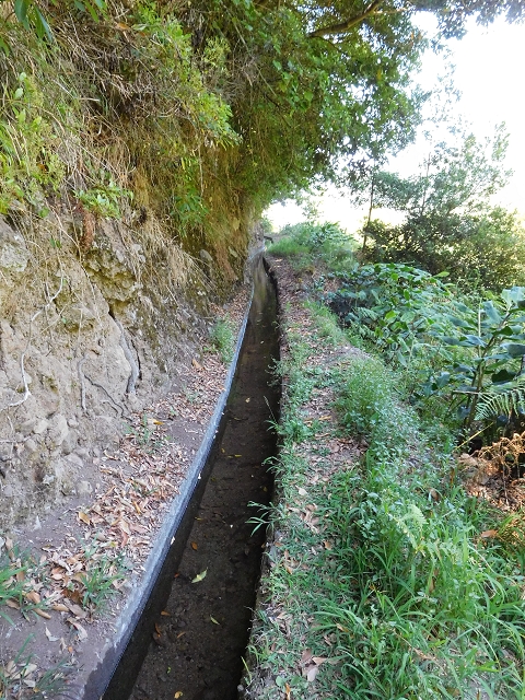 02.08.2015 Levada dos Tornos und das Fajas — Auf der Levada das Faias zur Schlüsselstelle — Foto 9