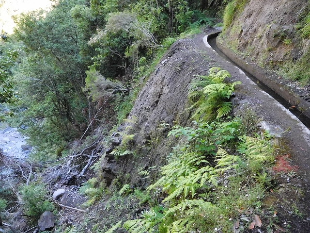 02.08.2015 Levada dos Tornos und das Fajas — Zur Madre der Levada dos Tornos und zurück zum PR-2 — Foto 9