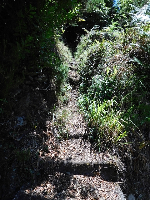 02.08.2015 Levada dos Tornos und das Fajas — Auf der Levada das Faias zur Schlüsselstelle — Foto 12