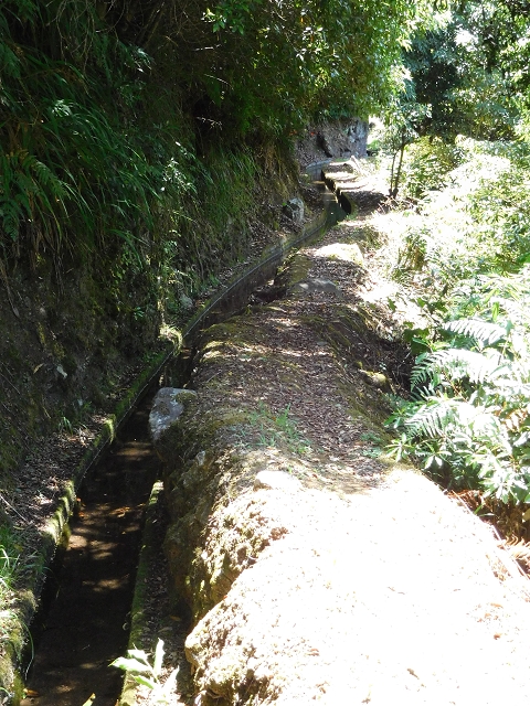 02.08.2015 Levada dos Tornos und das Fajas — Auf der Levada das Faias zur Schlüsselstelle — Foto 13